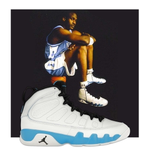 Air Jordan 9